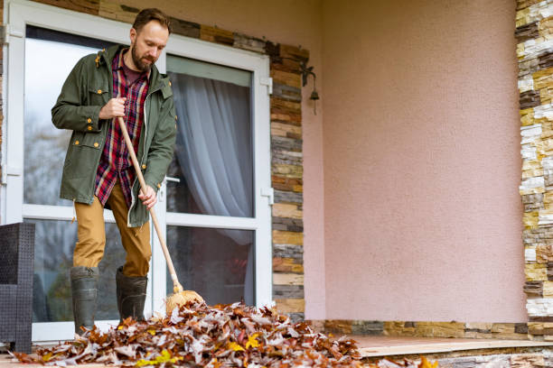 Basement Cleanout Services in Bridgeport, CT